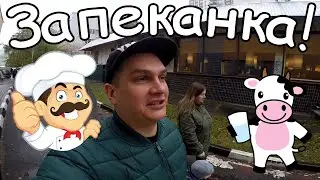 Поликлиника Яма Творожная Запеканка