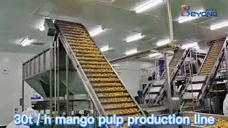 Mango Processing Equipment Mango Juice Processing Plant , Mango Juice Extractor Machine