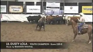 2011 STAMPEDE CUTTING - YOUTH CHAMPION