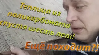 Теплица из поликарбоната спустя шесть лет!