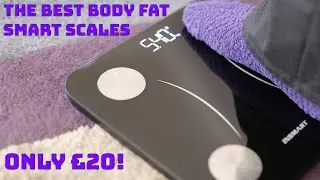 Get Inshape With The Insmart Body Fat Scale!