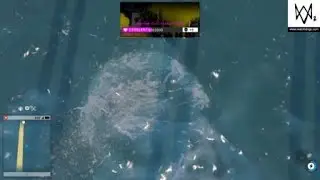 REAL Golden Gate Bridge Death Footage