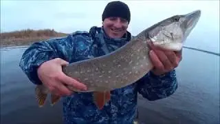 Осенняя рыбалка на щуку Волга Браконьеры Улов