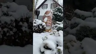 Сад на 14 ноября / Ленинградская область 
