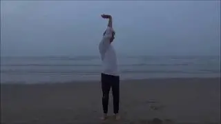 Qi qong: Section 2 Eigth Brocades version 1, by sifu Batstra