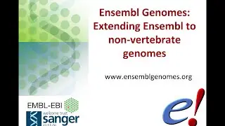 Ensembl Genomes: Extending Ensembl