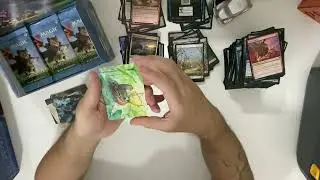Unboxing - Play Booster Box - Bloomburrow