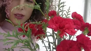 LA DE VALERIA