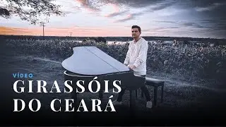 VÍDEO - GIRASSÓIS DO CEARÁ