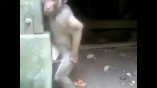 Ну где же вы девчонки