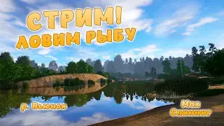 СТРИМ! Русская рыбалка 4 - РАЗНОРЫБИЦА! Добро пожаловать!