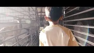 Tuo Tuo (陀陀) - Trailer