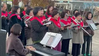 2025 Namhae County Christmas Tree Lighting Ceremony and Celebration