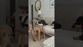 não se pode confiar em ninguem 😬