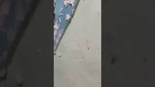 Это кошмар 🤣🤣🤣🤣🤣🤣