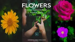 Creative Flowers Photography | Lightroom Mobile Presets DNG & XMP Download