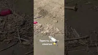 Туристы забыли саматык забрать 😂