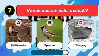 Guess The Venomous or Poisonous Animals, Except?