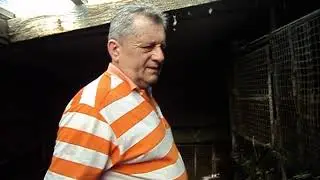 как сэкономить корма в том числе и сено (2 ч.)