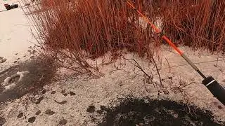 Ловля ротана.никогда не видел этого раньше!
