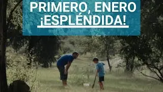 Película Primero, enero. NO TIENE PERSONAJES !!! Darío Mascambroni
