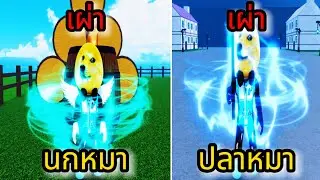 Roblox: Meme Sea:รีวิวเผ่าตื่น V.2 ทั้งหมด เผ่าปลาตื่น นกตื่น กระต่ายตื่น มีแล้วโหดขึ้นมาก !!?