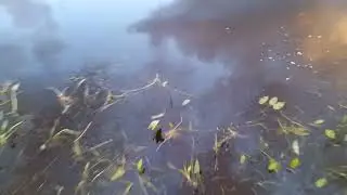 Приобрёл новый паук,пробная рыбалка на нового паука,вода упала