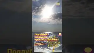 Свет и тьма / Природа нашего Времени