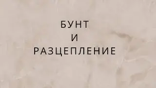 Денис Димитров - Другата страна на монетата - Други възможни причини за Разцепленията