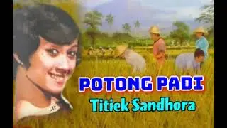 POTONG PADI - Titiek Sandhora