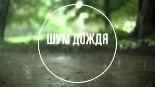 ШУМ ДОЖДЯ