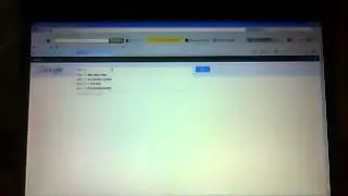 crazy google searches