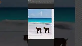 Content Aware Move Tool - How It Works