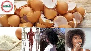 EGG SHELLS POWDER/MAGNESIUM POWDER for Hair Growth, Skin and Health. Strong hair, Bones and Teeth