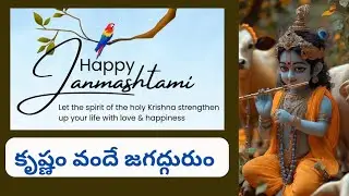 కృష్ణం వందే జగద్గురుం | Learnings From Krishna