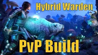 Hybrid Warden Outnumbered/Battlegrounds PvP Build - Lost Depths