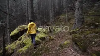 Girl Walking in the Forest | Stock Footage - Envato elements