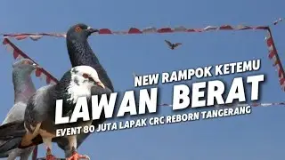 FULL SQUAD TEAM CHOCOLATE PENCARIAN TIKET EVENT 80JUTA LAPAK CRC REBORN