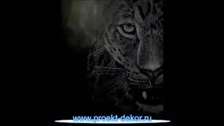 Картины на коже