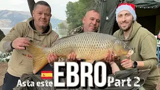 LA PESCUIT pe EBRO | INCREDIBIL de FRUMOS  | Dupa Crapi la Mequinenza Part 2