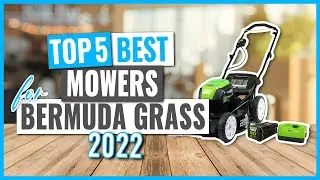 TOP 5: Best Mowers for Bermuda Grass in 2022 (on Amazon)
