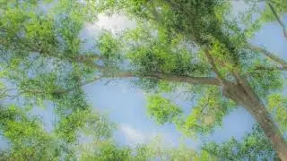 Awareness of Sensations and Feeling Tones