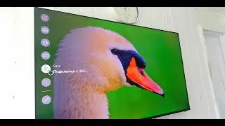 TV Konka q65, 65