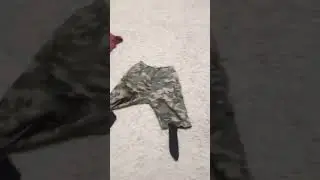 ну такойшас трэнд