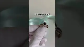 Идеальный мужчина, подарок любимой, что подарить девушке