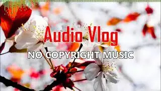 Give Love - Nettson | Audio Vlog - No Copyright Music