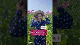 Непростая жизнь блогера в Германии. Спасибо мужу за поддержку! #германия #немцы #жизньвевропе