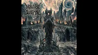 Molested Divinity - Evolution Through Deception