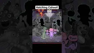 Hatching Cahoot! 