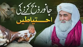 Janwar Zibah Karne Ka Tarika | Janwar Zibah Karte Waqt Kiya Ahtiyat Karen? | Bakra Eid Special 2024